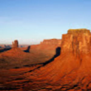 Meet your Posher, Regan